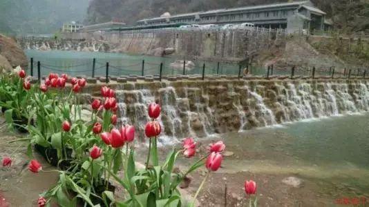 沪江开心词场