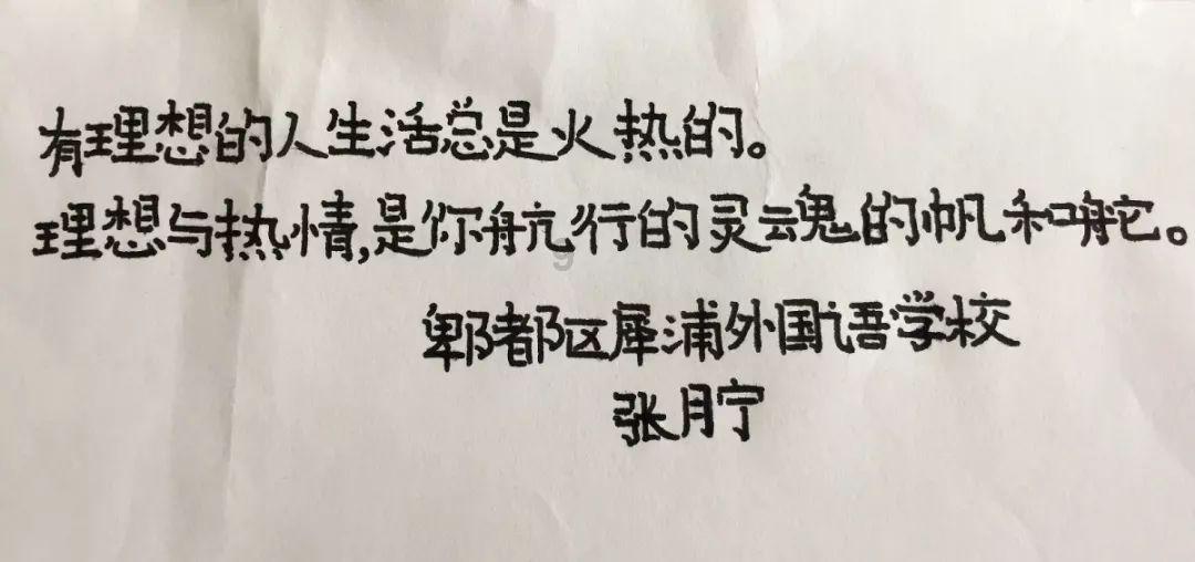 小猫钓鱼游戏龙王版有船